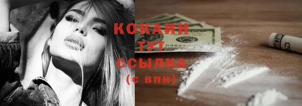 spice Михайлов